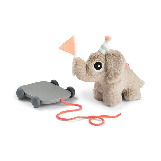 Jucarie Push Along 2 in 1 Done by Deer Elphee Sand