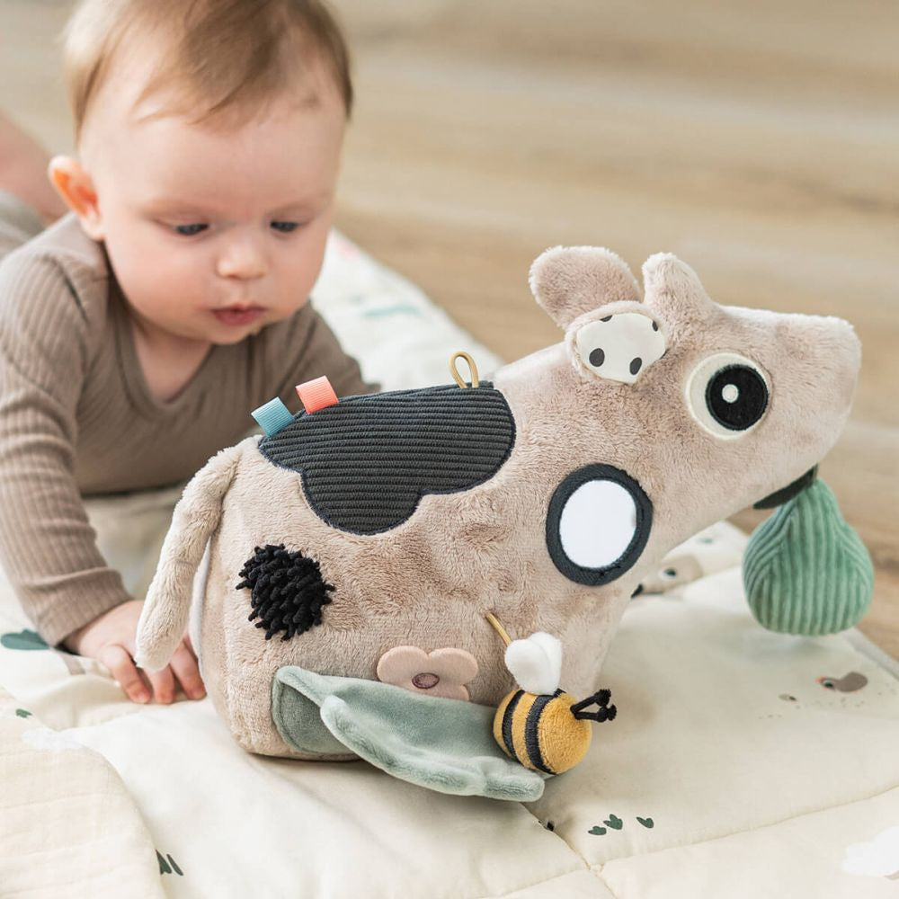 Oglinda cu Activitati Done by Deer Tummy Time 0+