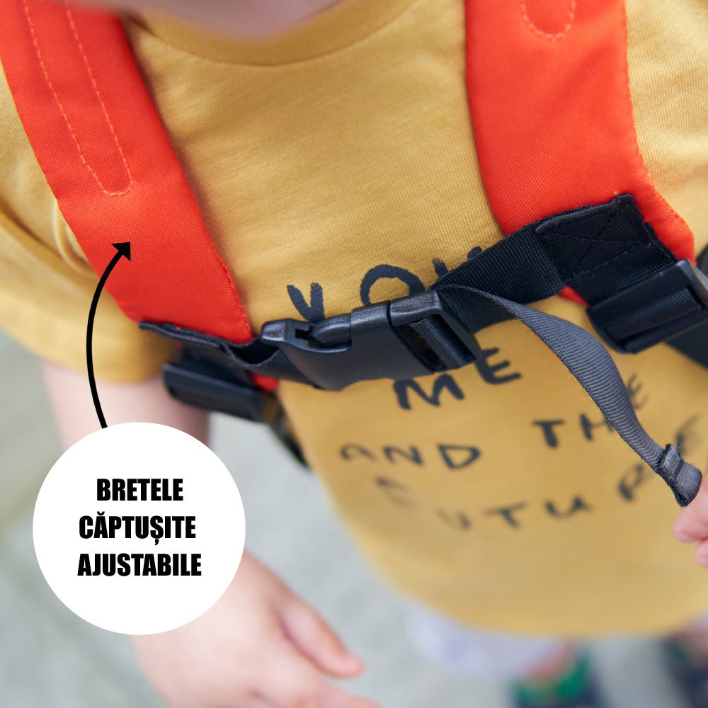 Rucsac și Curea de Siguranță Diono Sure Steps Fox 2 în 1