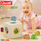Quercetti Kubo Shape Bio