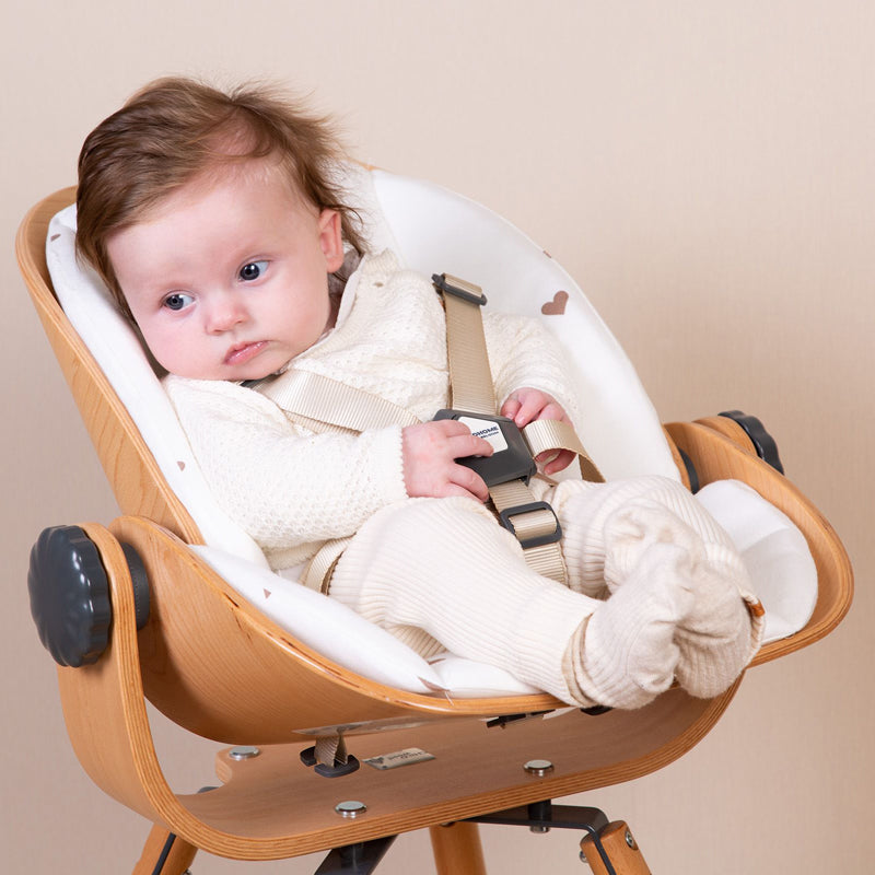 Sezut nou-nascut pentru scaun de masa Childhome Evolu 2 Evolu One.80, Natural Antracit