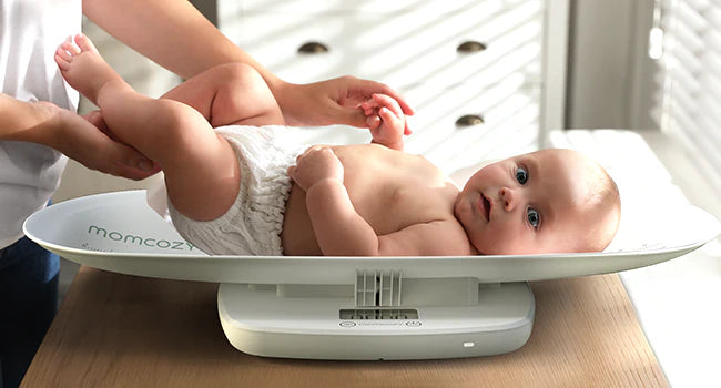 Cantar multifunctional bebe Momcozy