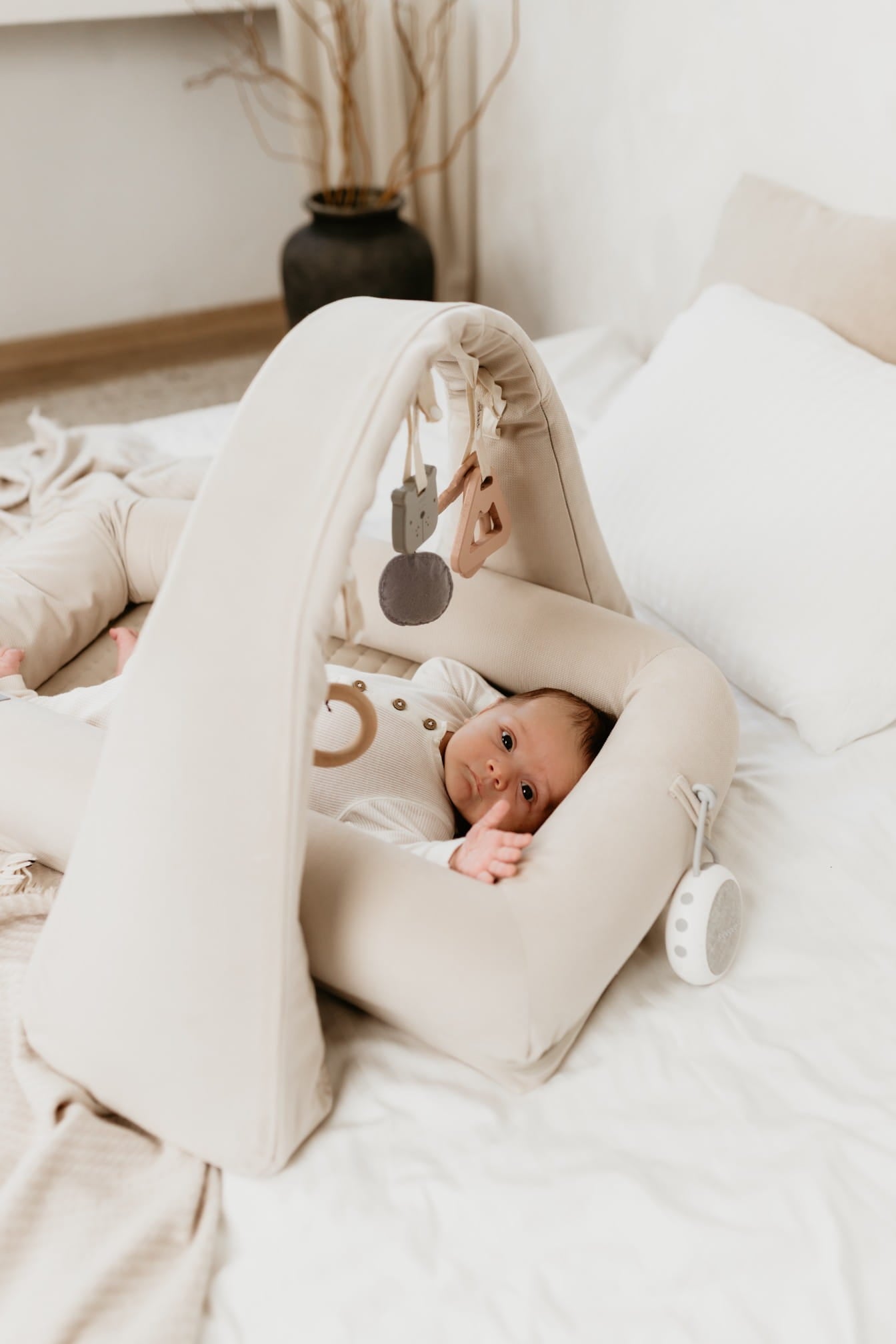 Baby Nest Modular cu Arcada de jucarii si Aparat sunete Sleepee