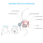 Aspirator nazal electric Nosiboo Pro Gri