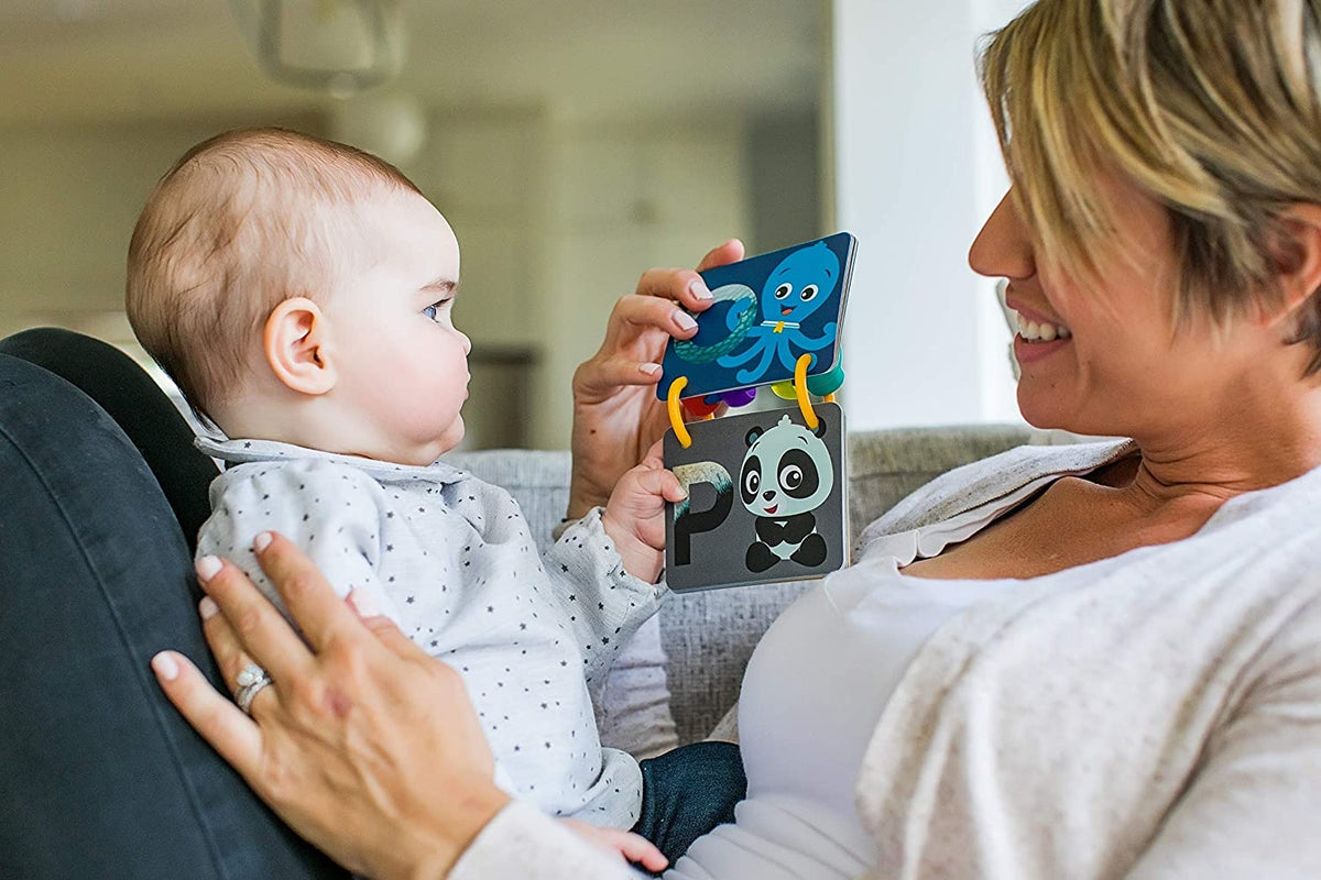Cartonașe cu alfabet Baby Einstein de la A la Z – imagine de prezentare 2