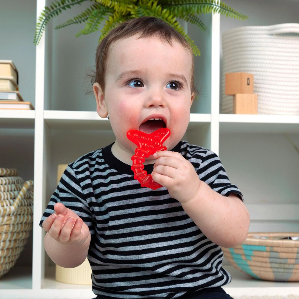 Set dentiție Baby Einstein Ocean Explorers Cool Critters – imagine de prezentare 3