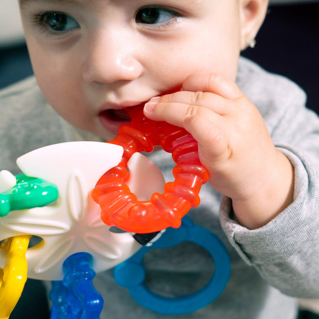 Set dentiție Baby Einstein Ocean Explorers Sea of Sensory – imagine de prezentare 7