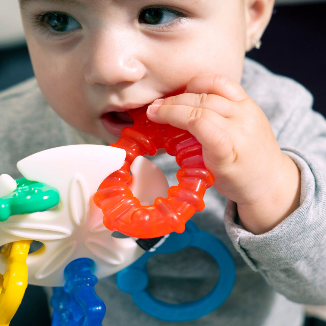 Set dentiție Baby Einstein Ocean Explorers Sea of Sensory – imagine de prezentare 7