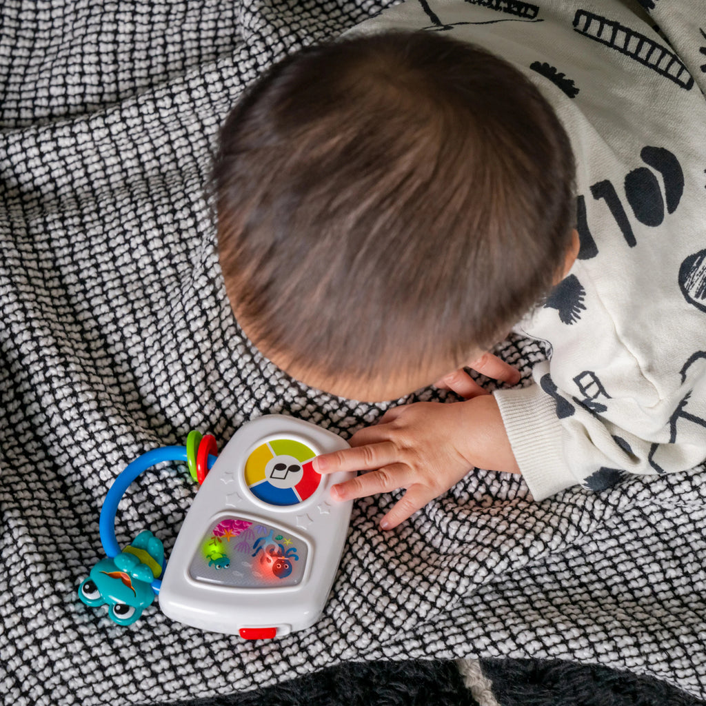 Jucărie muzicală Baby Einstein Maritime Melodies – imagine de prezentare 2
