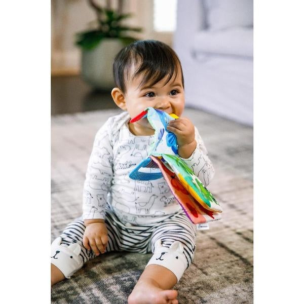 Carte de dentiție Baby Einstein cu pagini moi – imagine de prezentare 6