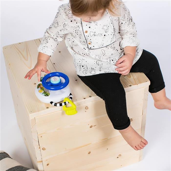 Volan muzical Baby Einstein Driving Tunes cu lumini – imagine de prezentare 4