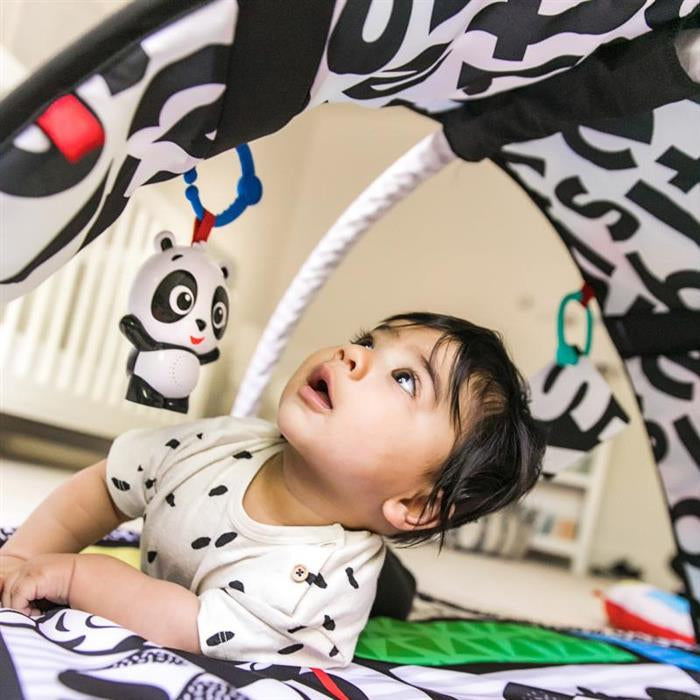 Baby Einstein - Salteluta de activitati Bold New World