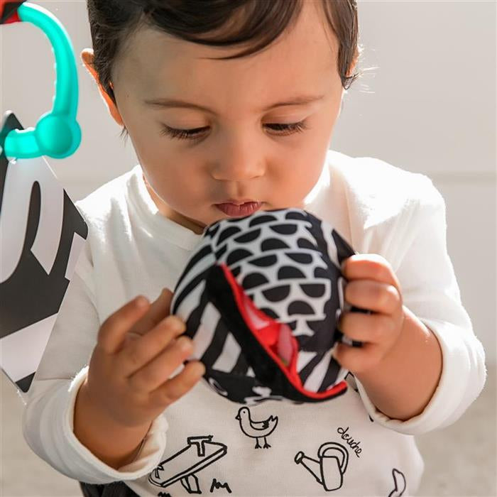 Saltea de activități Baby Einstein Bold New World – imagine de prezentare 10