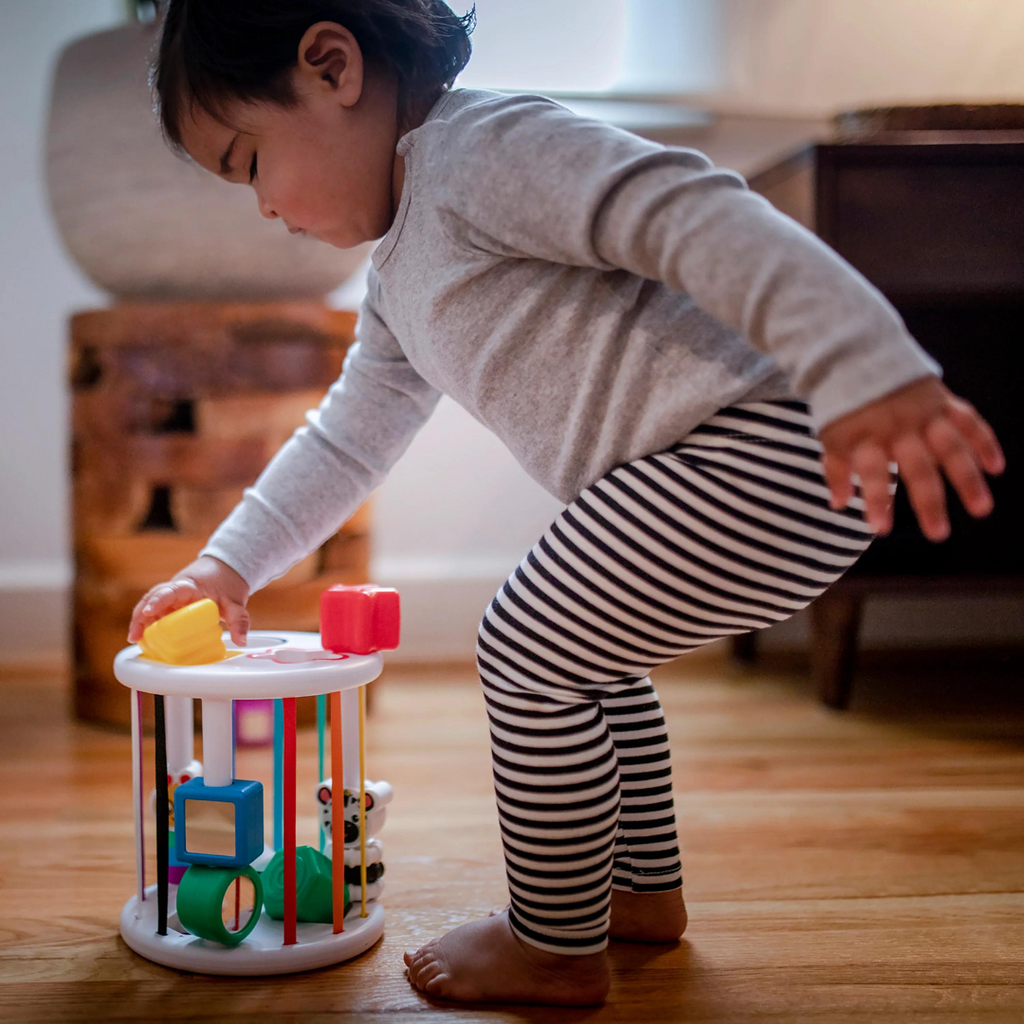 Set senzorial Baby Einstein Zen & Cal's Playground – imagine de prezentare 4