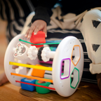Set senzorial Baby Einstein Zen & Cal's Playground – imagine de prezentare 6