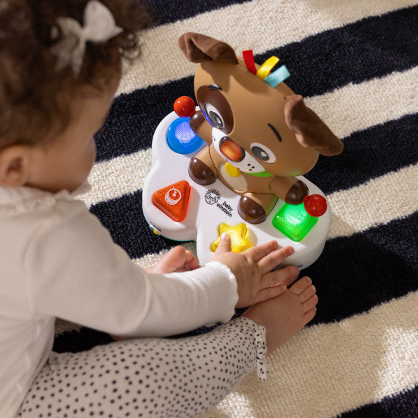 Tobă muzicală Baby Einstein Drum & Learn Dean – imagine de prezentare 5