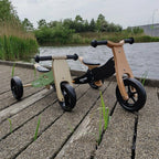 Tricicleta din lemn 2 in 1 Free2Move, cu functie de bicicleta de echilibru