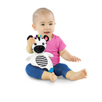Bright Starts Jucarie de dentitie din plus Baby Einstein Zebra Zen