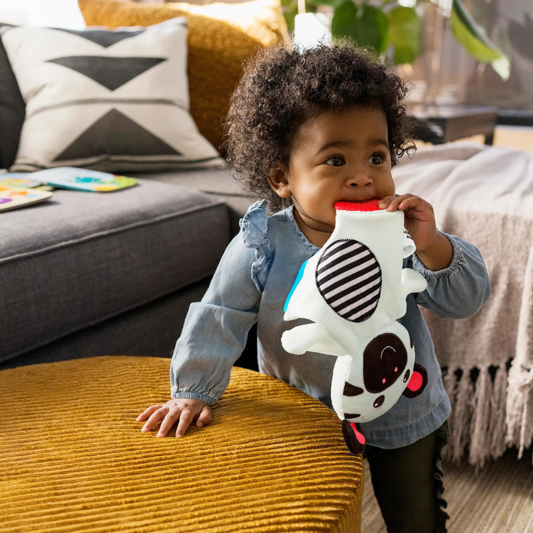 Bright Starts Jucarie de dentitie din plus Baby Einstein Zebra Zen