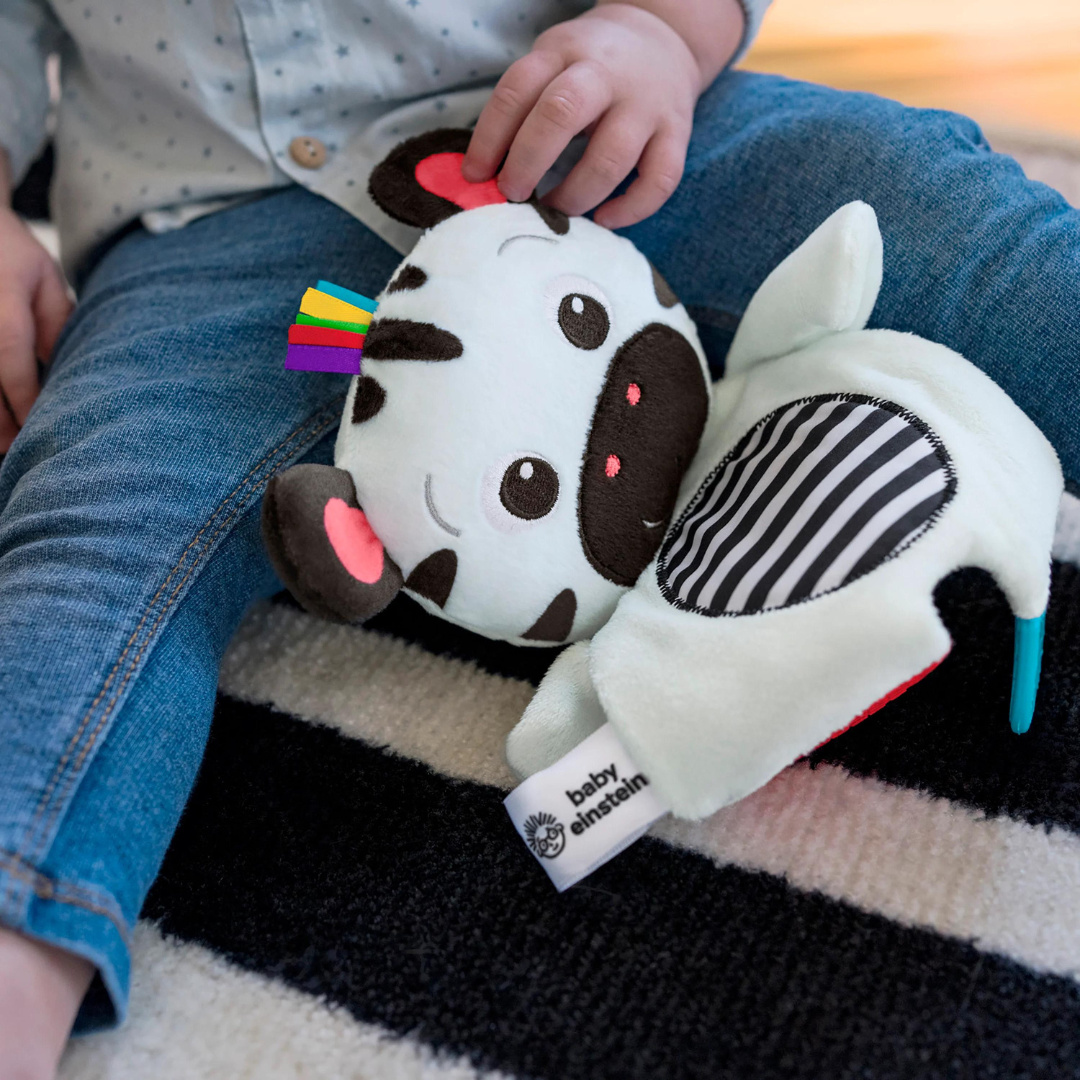 Bright Starts Jucarie de dentitie din plus Baby Einstein Zebra Zen