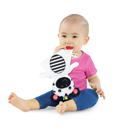 Bright Starts - Jucarie de dentitie din plus pentru bebelusi Zebra Zen