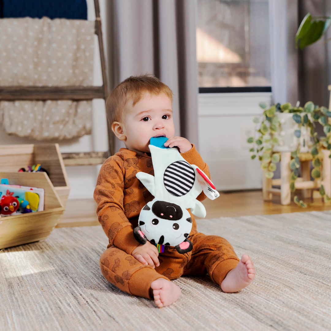 Bright Starts Jucarie de dentitie din plus Baby Einstein Zebra Zen