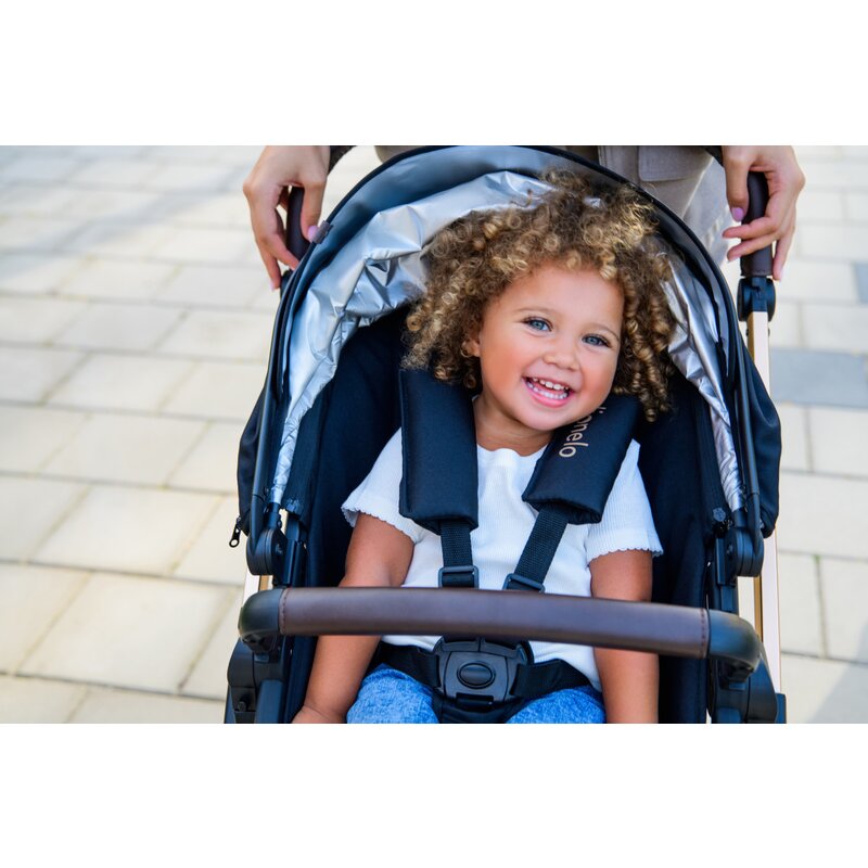 Carucior 2 in 1, Lionelo, Amber, Cadru aluminiu, Cu landou intarit si salteluta moale, Reversibil, Maner ajustabil, Huse pentru picioare, ploaie, Plasa de tantari, Geanta parinti, Pana la 22 kg, EN1888-1, EN1888-2, EN1466, Bej