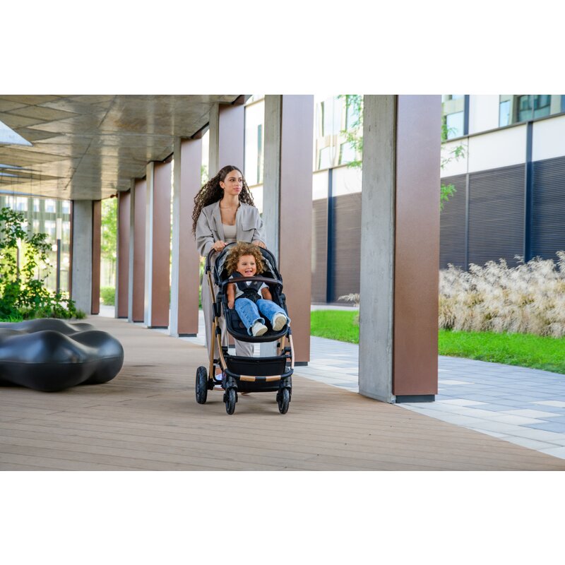 Carucior 2 in 1, Lionelo, Amber, Cadru aluminiu, Cu landou intarit si salteluta moale, Reversibil, Maner ajustabil, Huse pentru picioare, ploaie, Plasa de tantari, Geanta parinti, Pana la 22 kg, EN1888-1, EN1888-2, EN1466, Bej