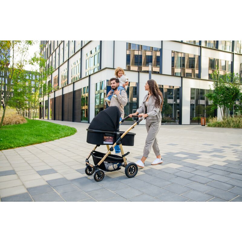 Carucior 3 in 1 Lionelo Amber, Bej