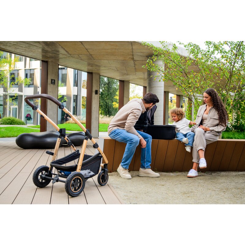 Carucior 3 in 1 Lionelo Amber, Bej