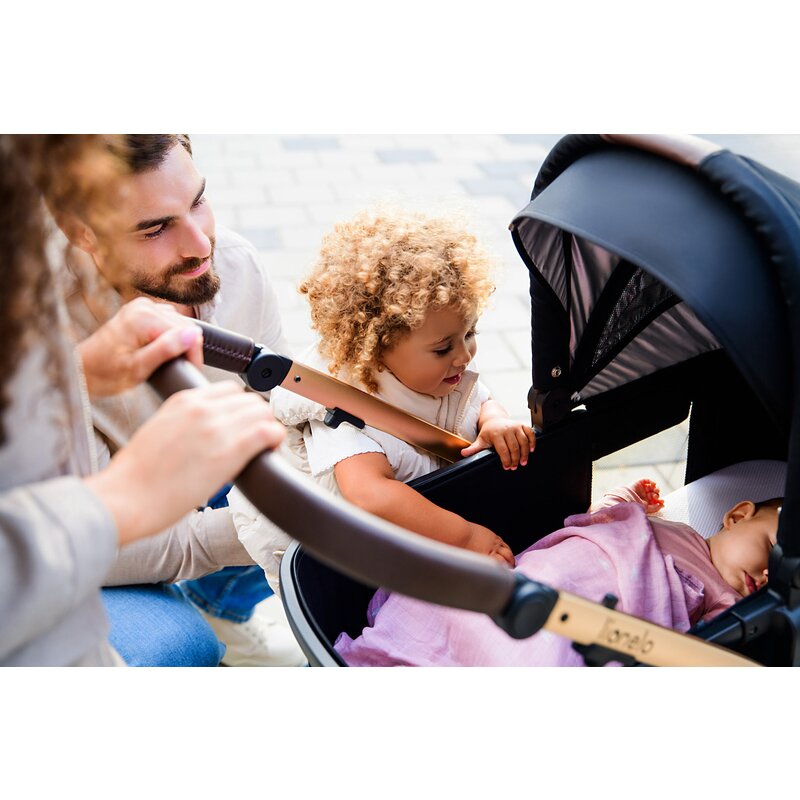 Carucior 3 in 1 Lionelo Amber, Bej