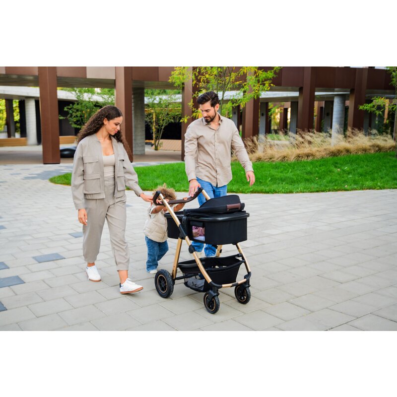 Carucior 3 in 1 Lionelo Amber, Bej