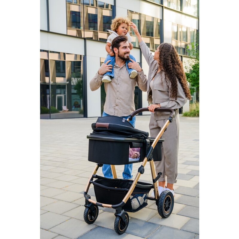 Carucior 3 in 1 Lionelo Amber, Bej