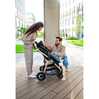 Carucior 3 in 1 Lionelo Amber, Bej