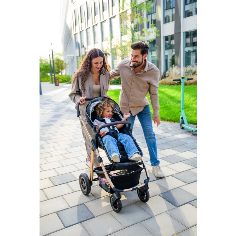 Carucior 3 in 1 Lionelo Amber, Bej