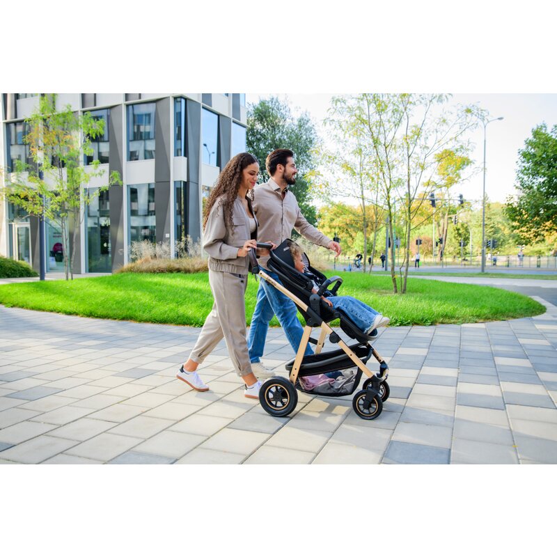 Carucior 3 in 1 Lionelo Amber, Bej