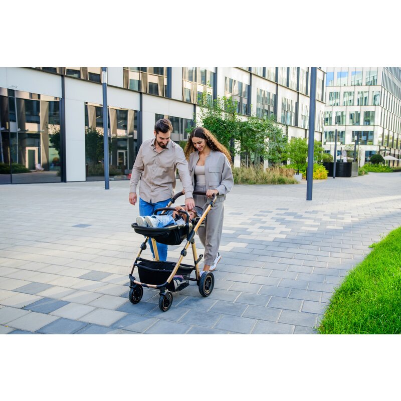 Carucior 3 in 1 Lionelo Amber, Bej
