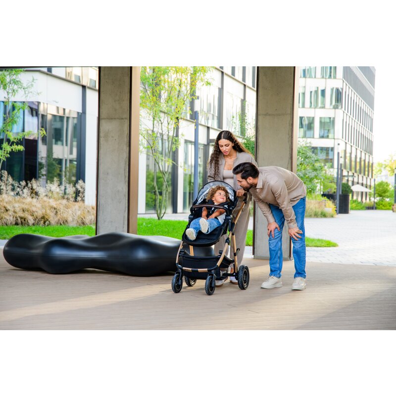Carucior 3 in 1 Lionelo Amber, Bej