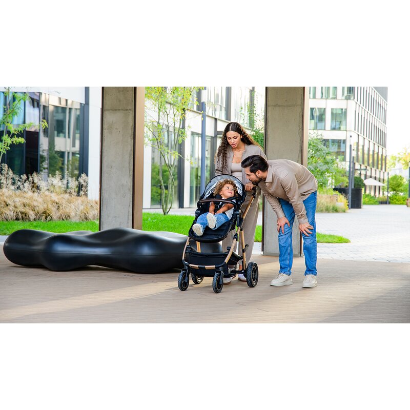 Carucior 3 in 1, Lionelo, Amber, Cadru aluminiu, Cu landou intarit si salteluta moale, Cu scoica auto testata ADAC, Reversibil, Cu accesorii, Geanta parinti, Pana la 22 kg, Negru silver