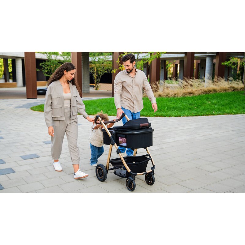 Carucior 3 in 1, Lionelo, Amber, Cadru aluminiu, Cu landou intarit si salteluta moale, Cu scoica auto testata ADAC, Reversibil, Cu accesorii, Geanta parinti, Pana la 22 kg, Negru silver