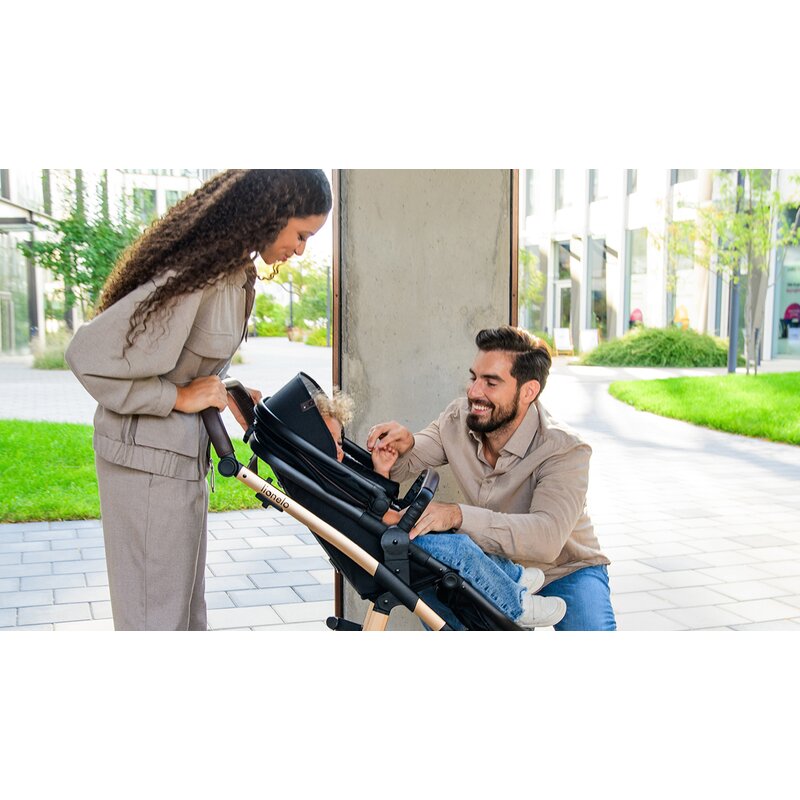 Carucior 3 in 1 Lionelo Amber, Negru Silver