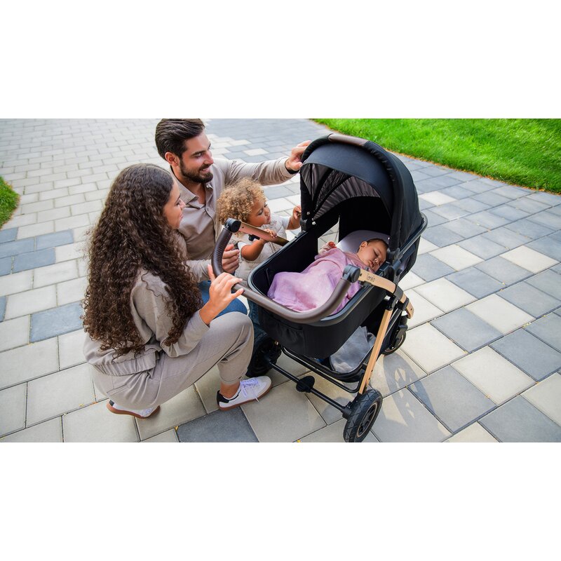 Carucior 3 in 1 Lionelo Amber, Negru Silver