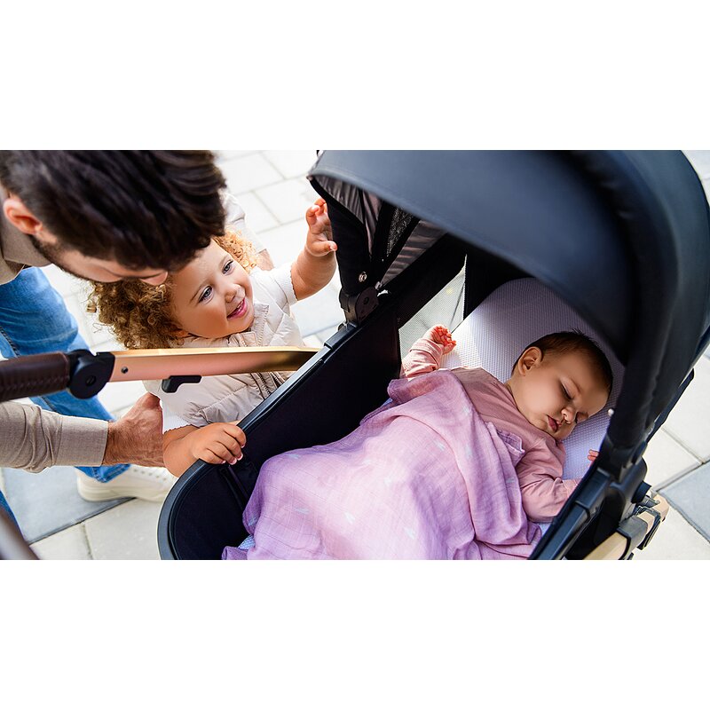 Carucior 3 in 1 Lionelo Amber, Negru Silver