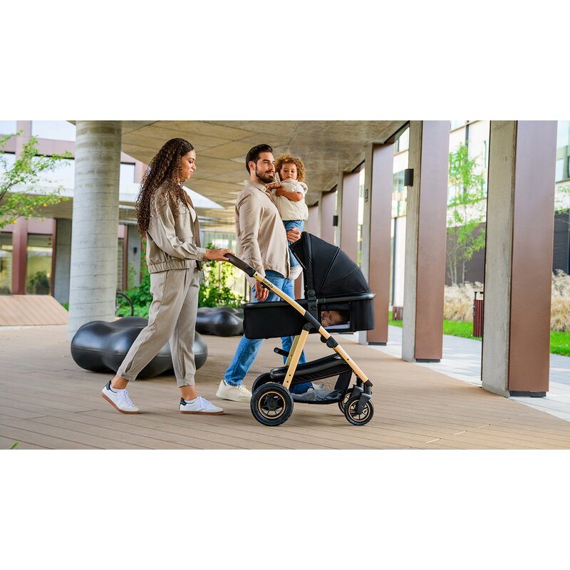 Carucior 3 in 1 Lionelo Amber, Negru Silver