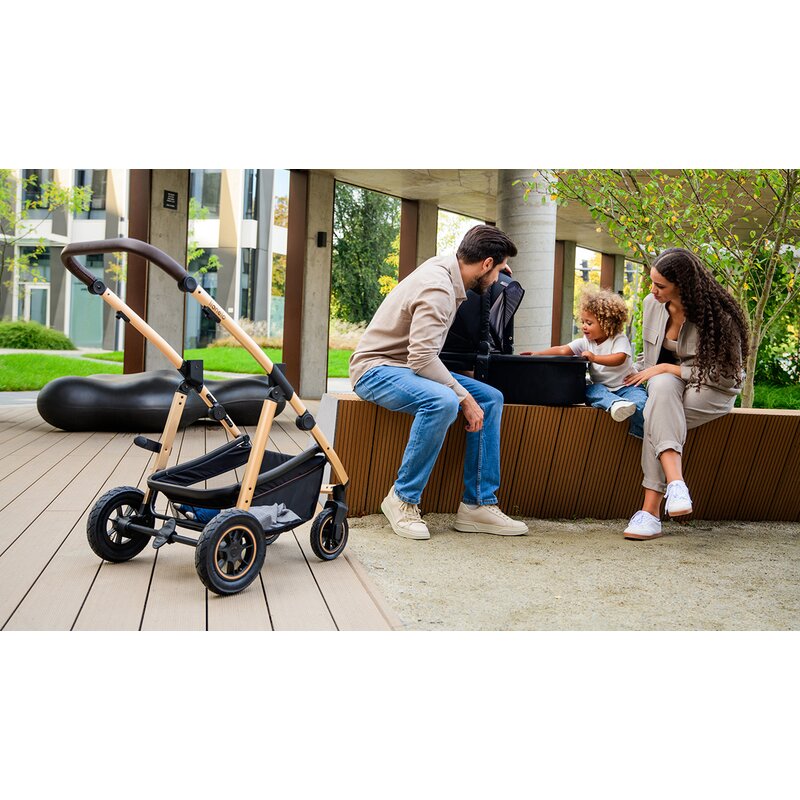 Carucior 3 in 1 Lionelo Amber, Negru Silver