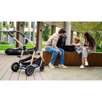 Carucior 3 in 1 Lionelo Amber, Negru Silver