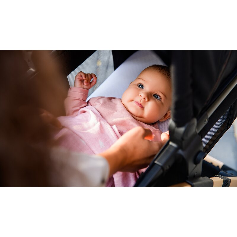 Carucior 3 in 1 Lionelo Amber, Negru Silver