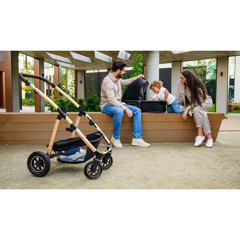 Carucior 3 in 1 Lionelo Amber, Negru Silver
