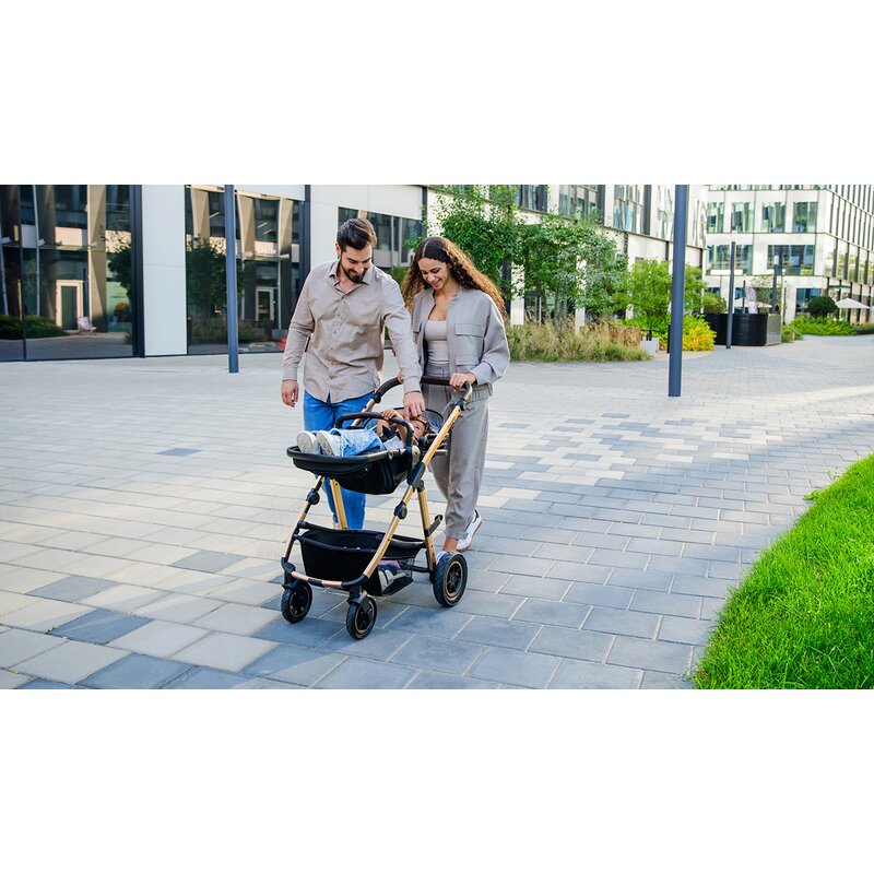 Carucior 3 in 1 Lionelo Amber, Negru Silver