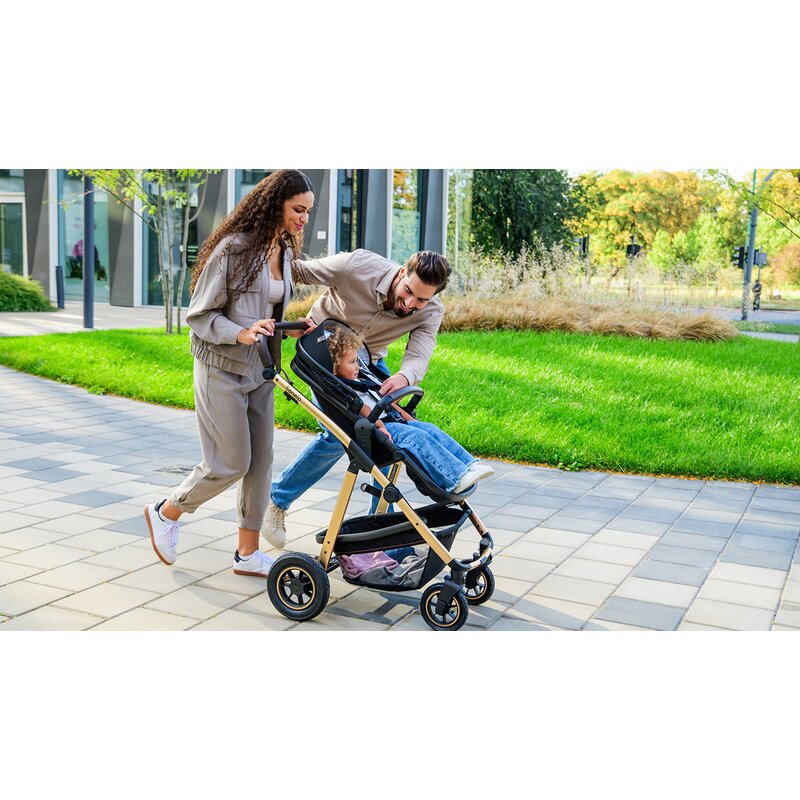 Carucior 3 in 1, Lionelo, Amber, Cadru aluminiu, Cu landou intarit si salteluta moale, Cu scoica auto testata ADAC, Reversibil, Cu accesorii, Geanta parinti, Pana la 22 kg, Negru silver